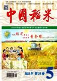 中国稻米