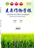 麦类作物学报