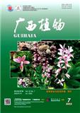 广西植物