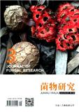 菌物研究
