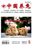 中国养兔杂志（不收版面费审稿费）