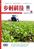 乡村科技（原：光盘技术）