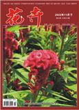 花卉