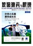 玻璃搪瓷与眼镜（原：玻璃与搪瓷）（不收版面费审稿费）