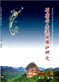石窟与土遗址保护研究