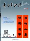 青少年书法（青年版）