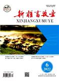 新疆畜牧业