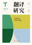 翻译研究（集刊）（不收版面费审稿费）